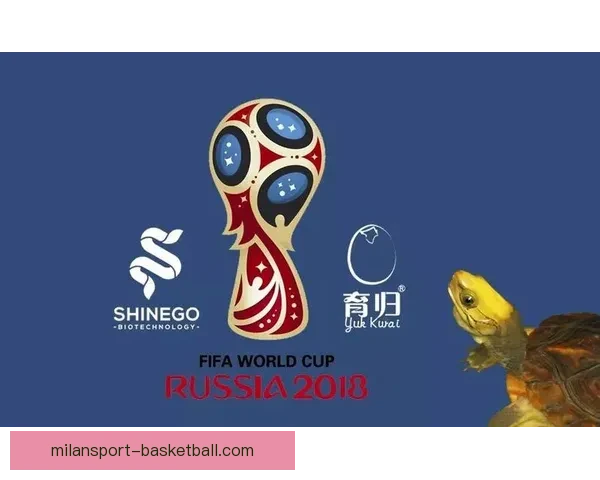 世界杯竞猜规则全面解析与趣味策略指南大揭秘